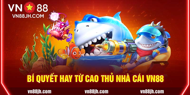 Bí quyết hay từ cao thủ nhà cái VN88