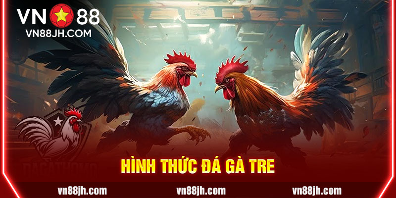 Hình thức đá gà tre