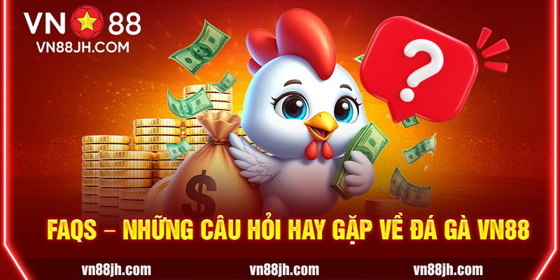 FAQs – Những câu hỏi hay gặp