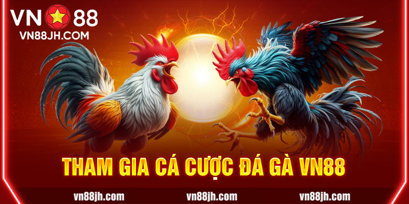 Tham gia cá cược đá gà VN88