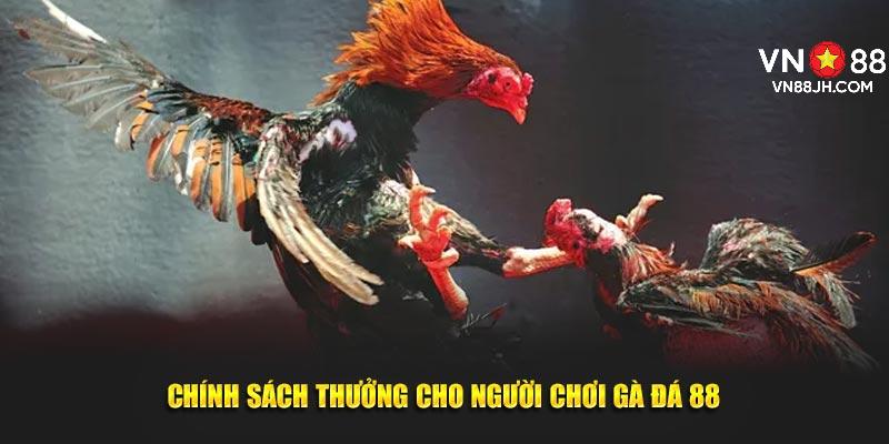 Chính sách thưởng cho người chơi gà đá 88