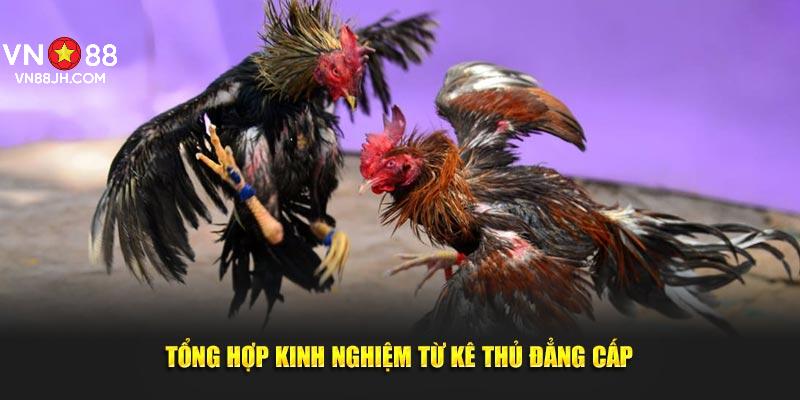 Tổng hợp kinh nghiệm từ kê thủ đẳng cấp