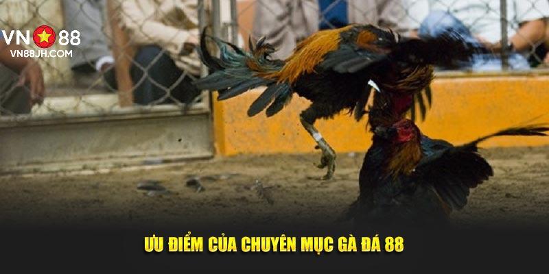 Ưu điểm của chuyên mục gà đá 88