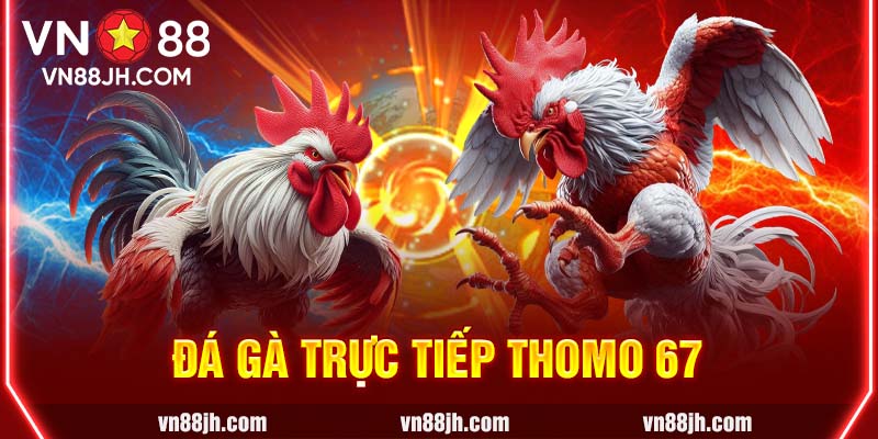 đá gà trực tiếp thomo 67